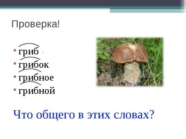 ГДЗ по русскому языку 3 класс учебник Канакина, Горецкий 1 часть – стр 