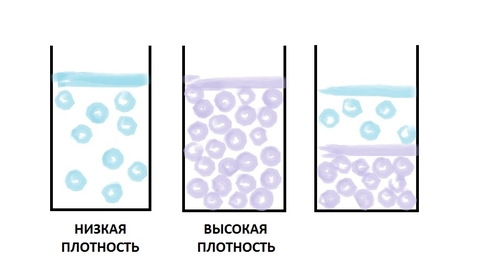 Знакомимся с плотностью жидкостей | Алые паруса