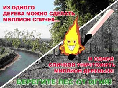 берегите лес
